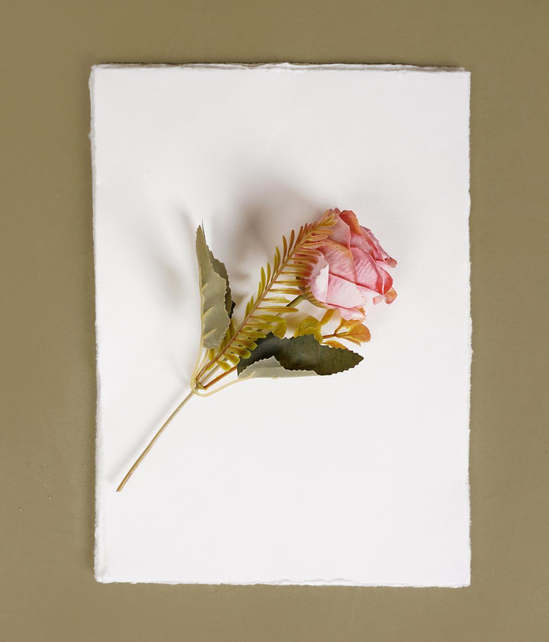 150 GSM / 25 Sheets - Rough/Textured Watercolor Drawing/Sketching Paper - 8"X6" - Handmade/Deckle Edge Paper Made from Virgin Egyptian Cotton -White